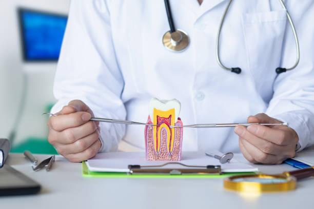 Best Emergency Dental Care for Broken or Chipped Teeth in Roselawn, IN